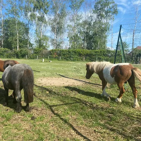 De L'orisse - Mobilhome Domek letniskowy Varennes-sur-Allier